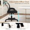 Ergonomic Office Chair Mid-Back Mesh Swivel Adjustable Seat Rolling 275 Lb Black